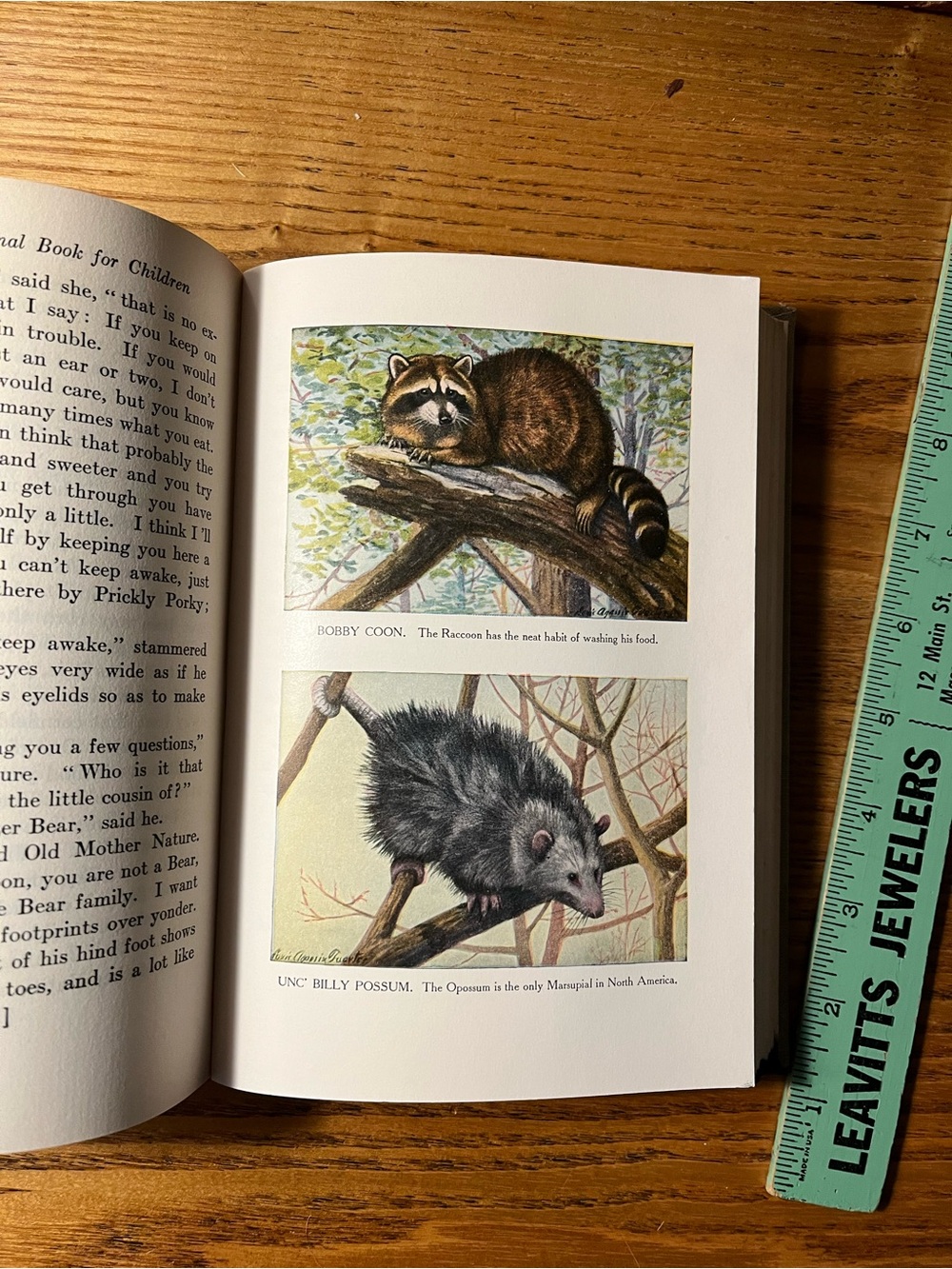 1920 Burgess Animal Book for Children - Hardcover color bookplates - Picture 4 of 16